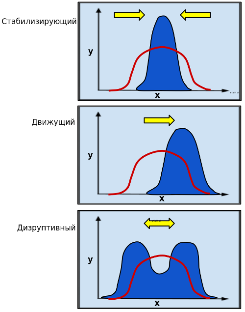 Виды отборов